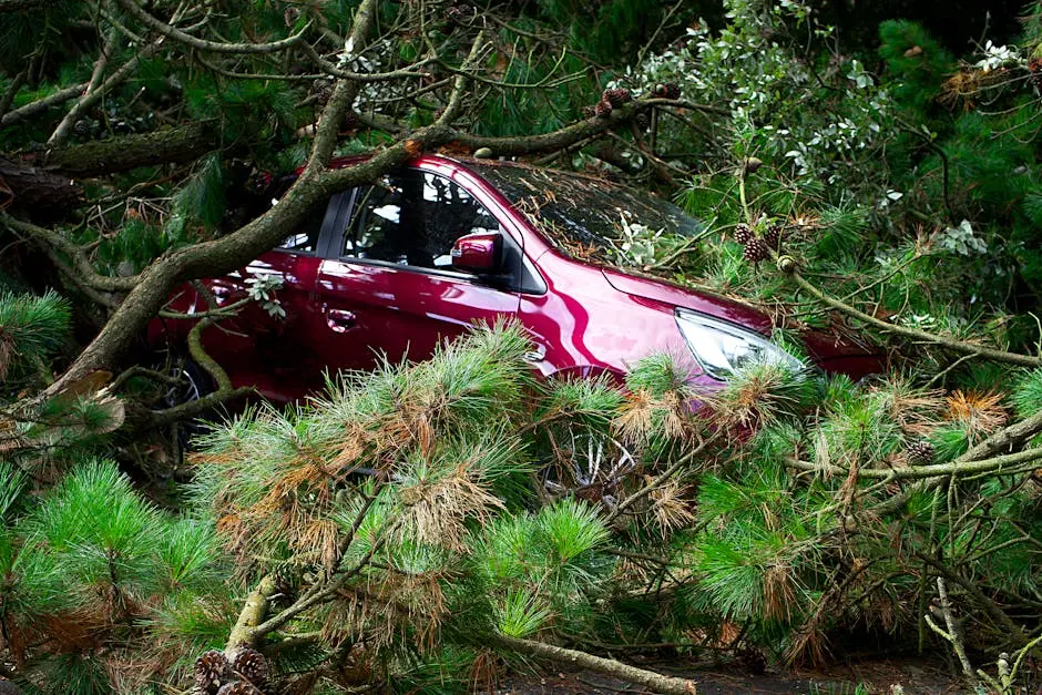 Why You Need Experienced South Florida Attorneys for Your Accident Claim